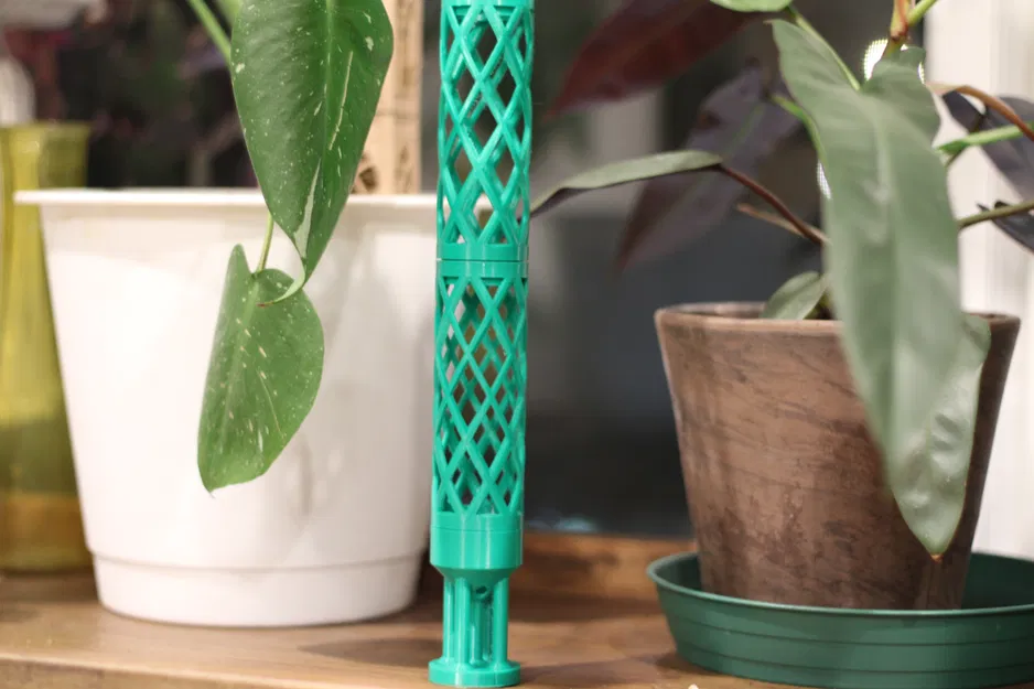 Cây Trụ Rêu Tự Thiết Kế - Image 3