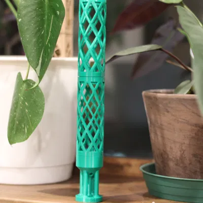 Cây Trụ Rêu Tự Thiết Kế