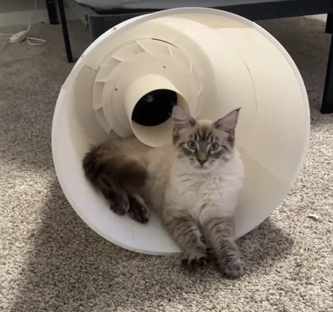 Mô hình còi ACA P-50/T-135AC thu nhỏ có thể hoạt động (Tỷ lệ 1/4) - Image 7