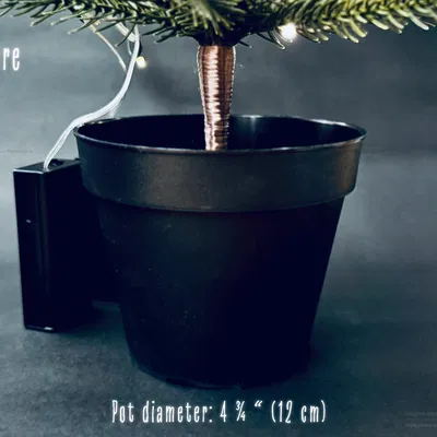 Chậu Cây Thông Noel Trang Trí Tết