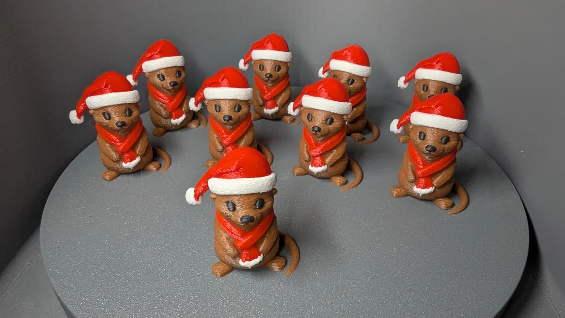 Chú Rái Cá Giáng Sinh Dễ Thương - Image 3