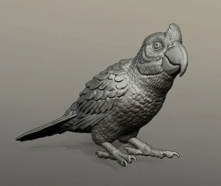 Tượng Vẹt Mỏ Rộng Tỉ Lệ 1:4 và 1:1 - Image 1