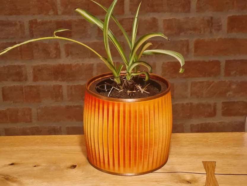 Chậu hoa và chậu con - Image 3