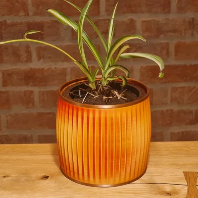 Chậu hoa và chậu con