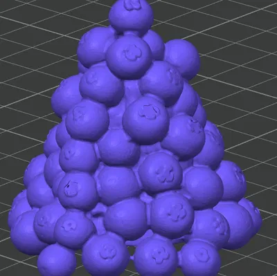 Đống Việt Quất Lớn