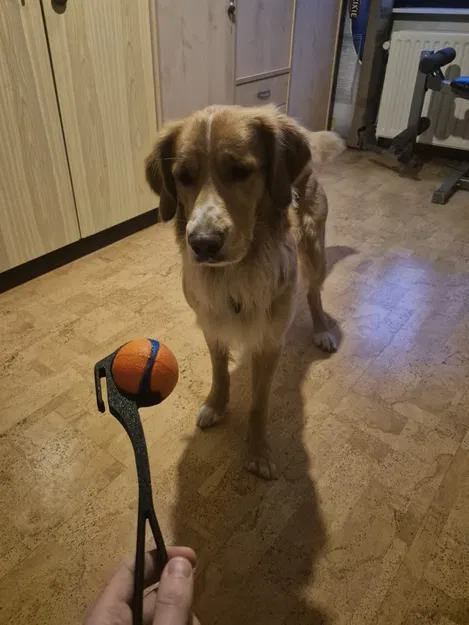 Khuôn phóng banh tennis "Chuck it M" có móc cài dây nịt - Image 2