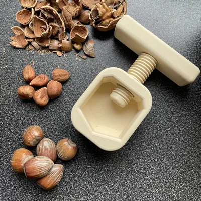 Kẹp hạt phỉ và các loại hạt khác.