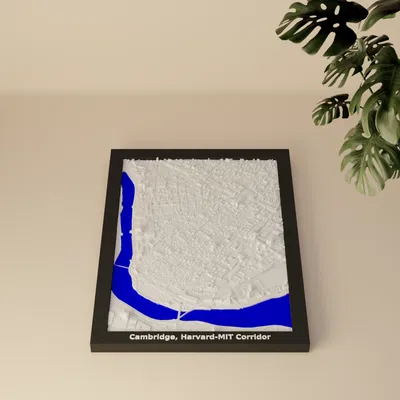 Mô hình 3D địa hình Cambridge, Harvard-MIT Corridor, Hoa Kỳ