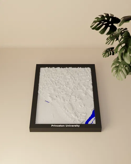 Mô hình 3D địa hình Đại học Princeton, Hoa Kỳ - Image 2
