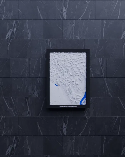 Mô hình 3D địa hình Đại học Princeton, Hoa Kỳ - Image 5