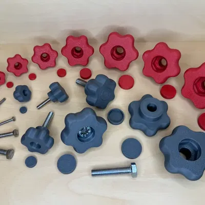 Vít lục giác có tay nắm sao M3 M4 M5 M6 M8 M10 M12