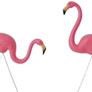 Bộ Chim Hồng Hạc Featherstone Nguyên Bản