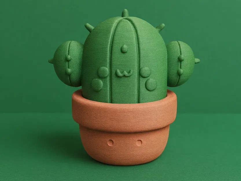 Xương Rồng Dễ Thương Trong Chậu - Image 1