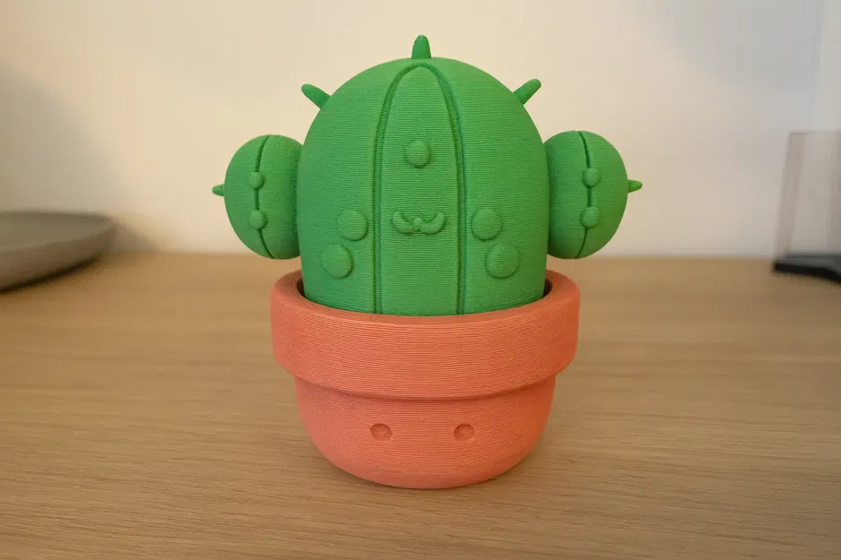 Xương Rồng Dễ Thương Trong Chậu - Image 2