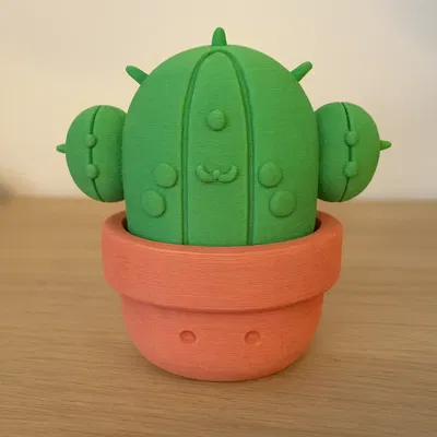 Xương Rồng Dễ Thương Trong Chậu