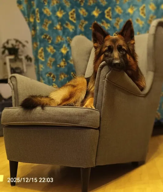 Chân Ghế Bành IKEA Kiểu "Ohrensessel" - Image 1