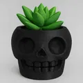 Chậu Cây Đầu Lâu Dễ Thương (Skull Plant Buddy) - Thumbnail 1