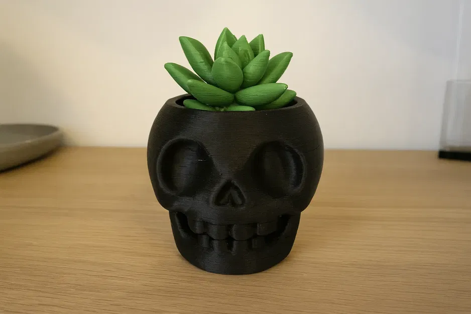Chậu Cây Đầu Lâu Dễ Thương (Skull Plant Buddy) - Image 2