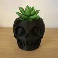 Chậu Cây Đầu Lâu Dễ Thương (Skull Plant Buddy) - Thumbnail 2
