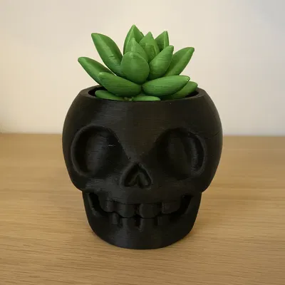 Chậu Cây Đầu Lâu Dễ Thương (Skull Plant Buddy)