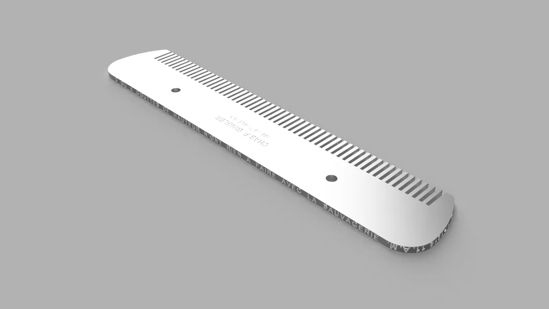 Mô hình Lược (Peigne) của Marcel Duchamp - Image 17