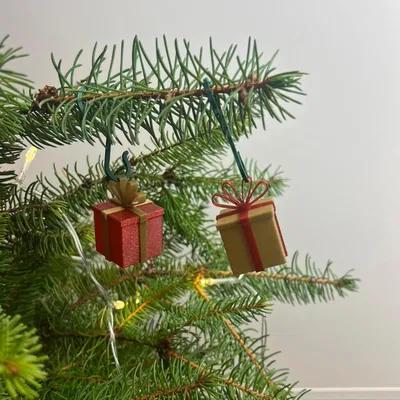 Hộp Quà Trang Trí Cây Thông & Đồ Trang Trí