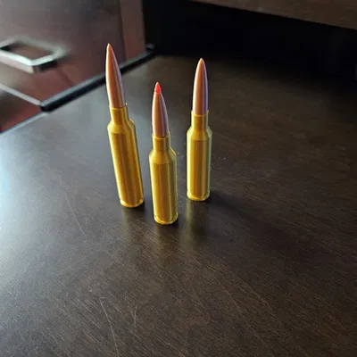 Đạn Giả - Độ Chính Xác