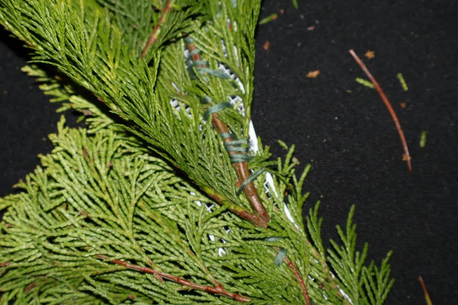 Khung Đỡ Vòng Nguyệt Quế Module - Image 12