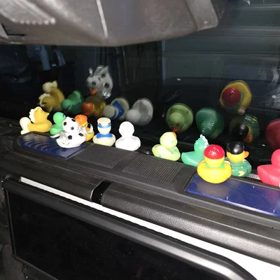 Nút thảm cho xe JEEP JL gắn vịt