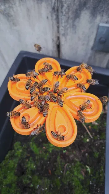 Chỗ Cấp Nước Cho Ong Trong Vườn - Image 1