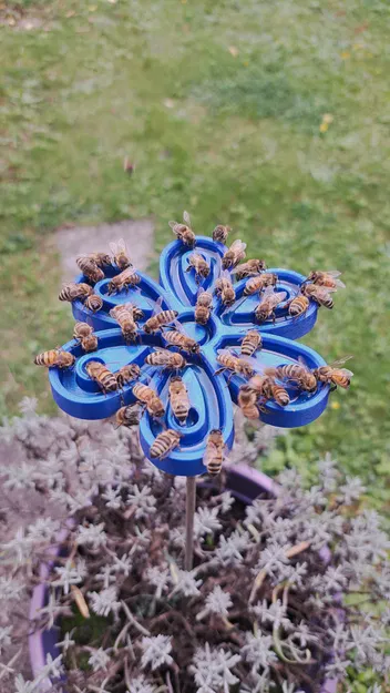 Chỗ Cấp Nước Cho Ong Trong Vườn - Image 4