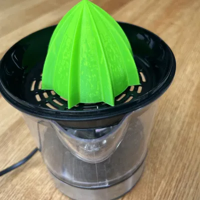 Phụ kiện thay thế máy ép cam LebenLang