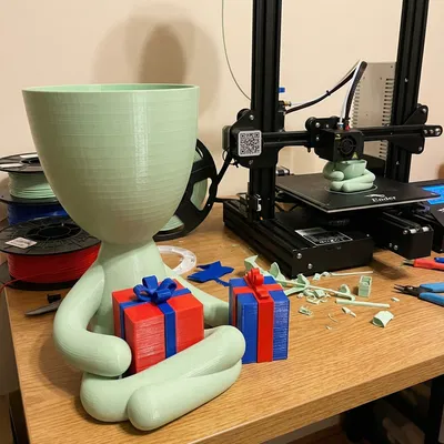 Bộ Chậu Giáng Sinh Trang Trí - Chậu Robert