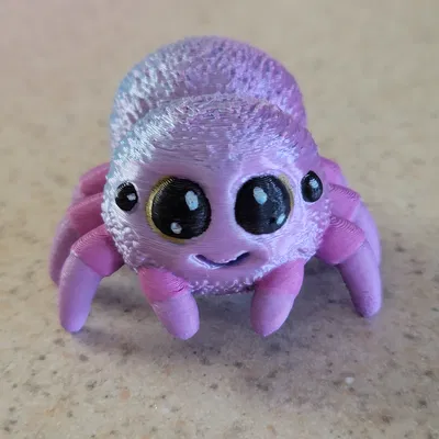 Nhện Nhảy Siêu Dễ Thương