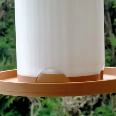 Máng ăn chim - Bird feeder