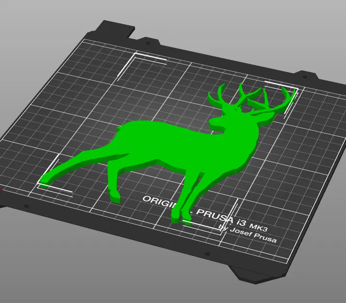 Hình Bóng Nai - Image 2