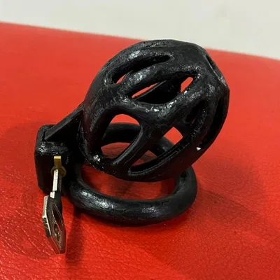 Lồng RSTD của Nob