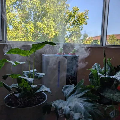 Đầu Phun Máy Tạo Độ Ẩm Tùy Chỉnh