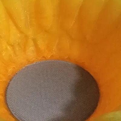 Tô Hoa Hướng Dương