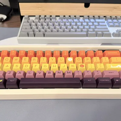 Vỏ Bàn Phím Cơ Discipline 65 - Ngàm PCBsnap