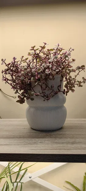 Chậu Cây Vạn Niên Thanh / Рифлёная ваза-кашпо - Image 1