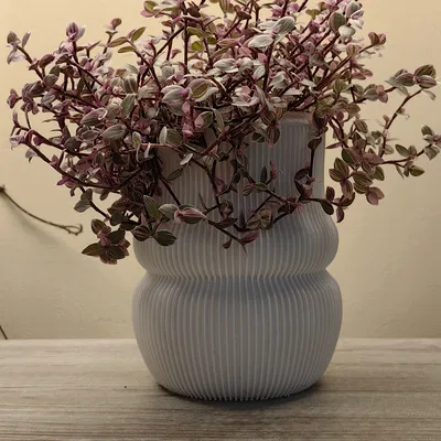 Chậu Cây Vạn Niên Thanh / Рифлёная ваза-кашпо