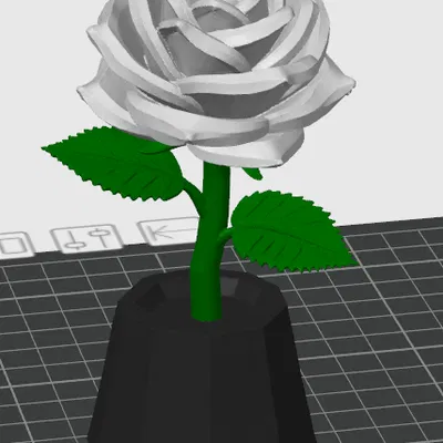 Hoa hồng in 3D tùy chỉnh đa sắc