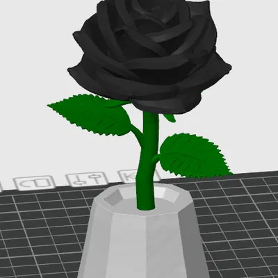 Hoa hồng in 3D tùy chỉnh đa sắc