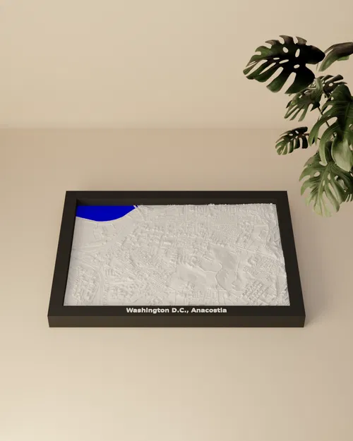 Mô hình thu nhỏ địa hình Washington D.C., Anacostia - Hoa Kỳ - Image 1