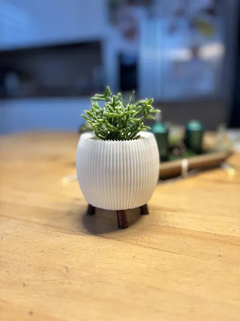 Chậu hoa 3D - Image 1