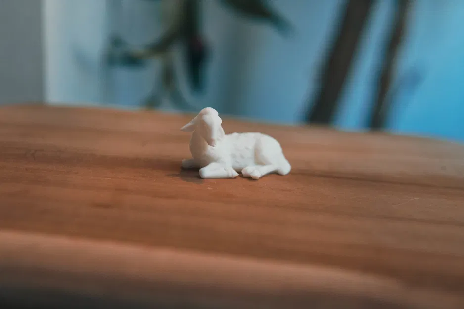 Mô Hình Cừu Nằm - Image 1