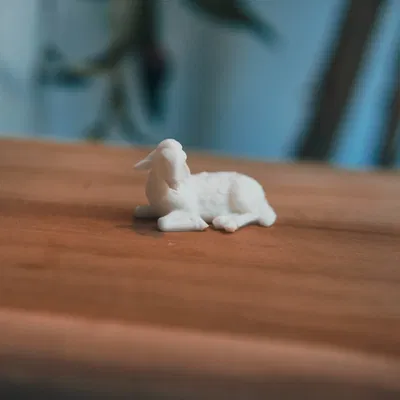 Mô Hình Cừu Nằm