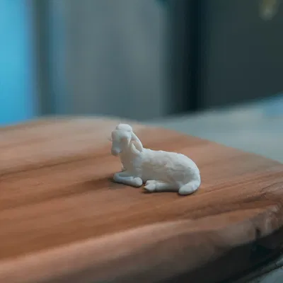 Mô Hình Cừu Nằm