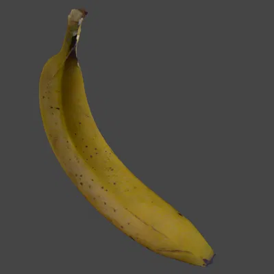 Quét 3D Chuối (Scan Otter)